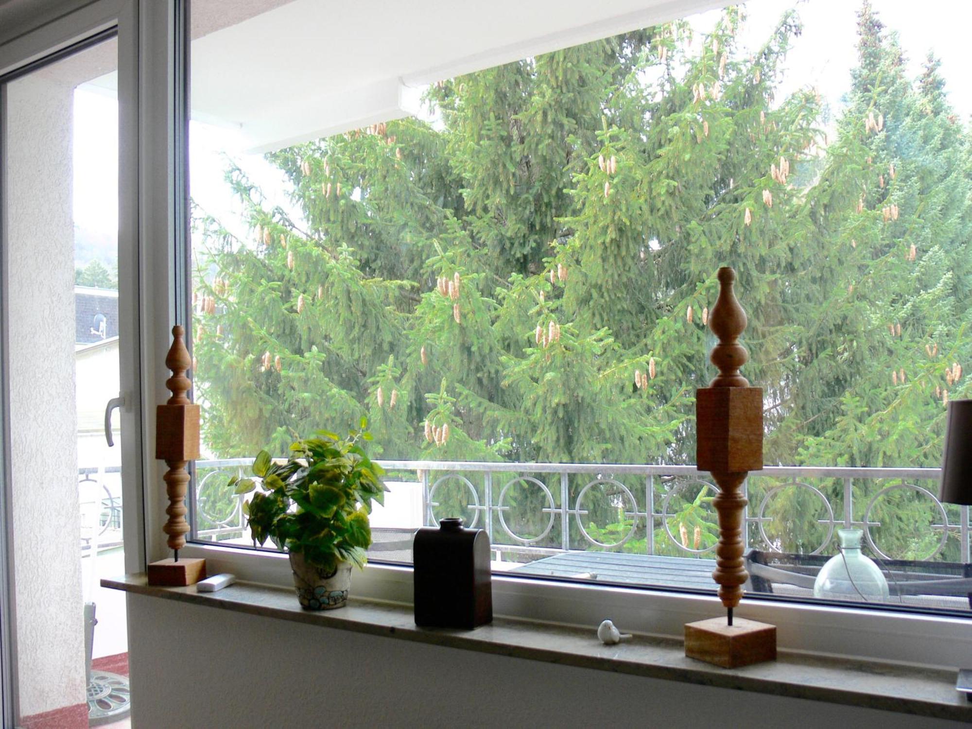 Ferienwohnung Hudewusch Bad Harzburg Zewnętrze zdjęcie
