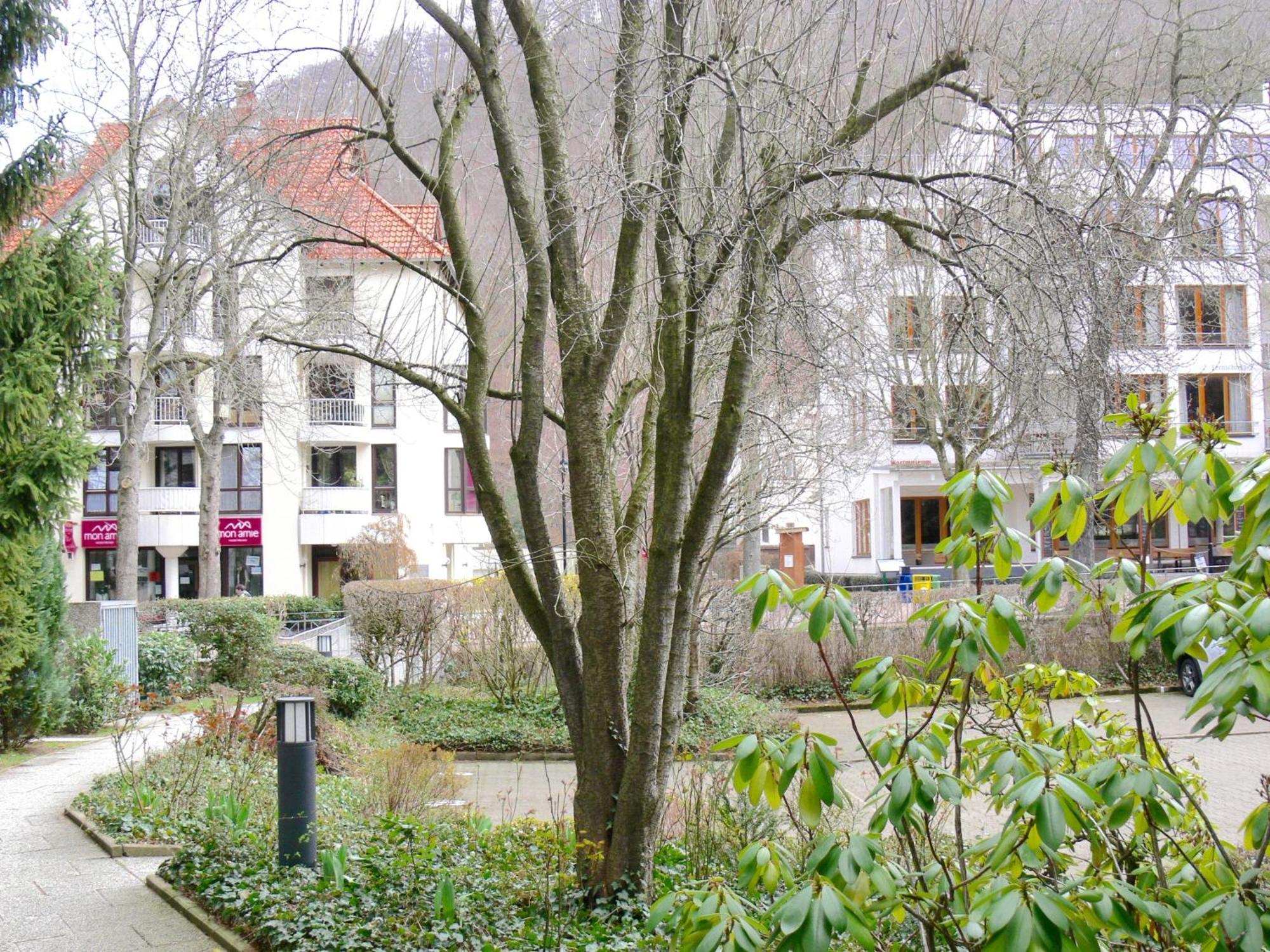 Ferienwohnung Hudewusch Bad Harzburg Zewnętrze zdjęcie